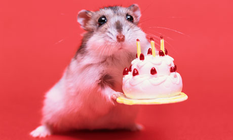 Birthday Themes, Activities And Games- Teenage
