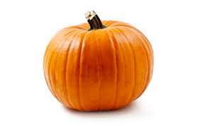 Orange Pumpkin for Pumpkin Pack