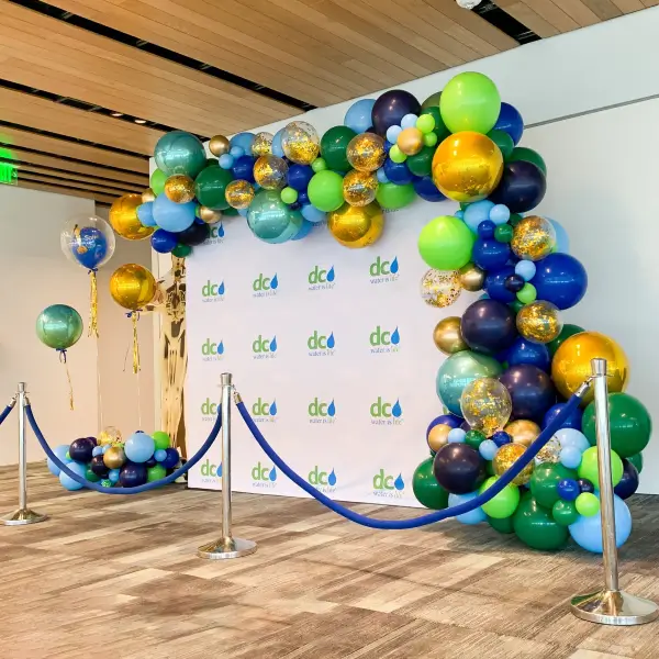 Showroom Inauguration