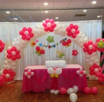 birthday Theme Decor