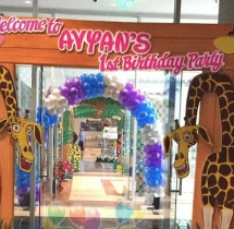 birthday Theme Decor
