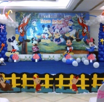 birthday Theme Decor