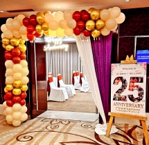 decorations 25th Wedding Anniversary Decoration Package