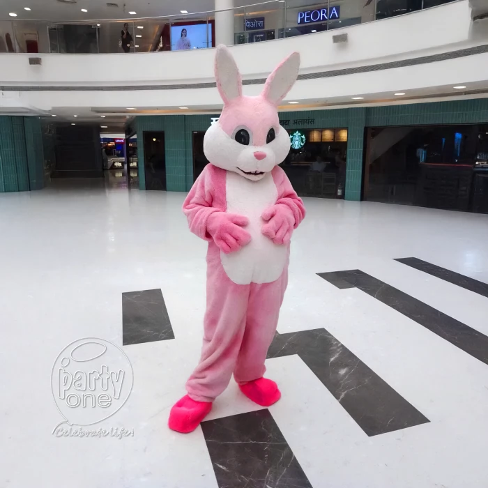 birthday Bunny Mascot for Birthday Party