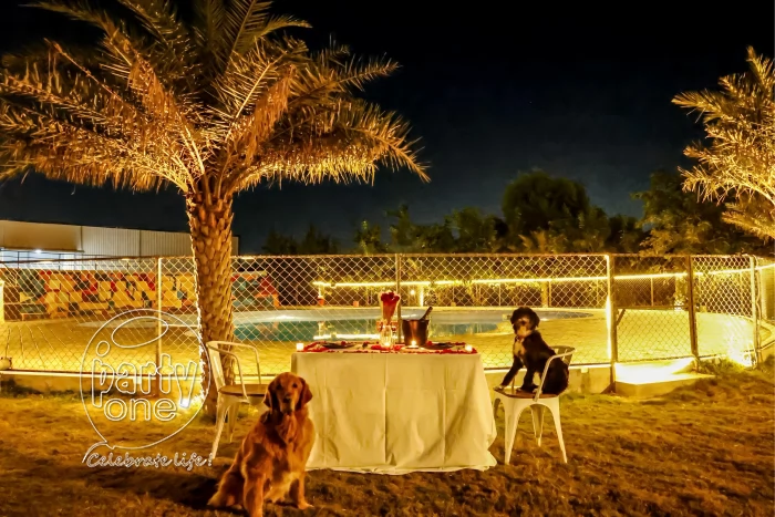 candlelight dinners Pet Friendly Romantic Dinner Experience