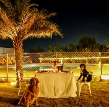 candlelight dinners Pet Friendly Romantic Dinner Experience