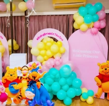 welcome baby decorations Princess Theme Welcome Baby Balloon Decoration