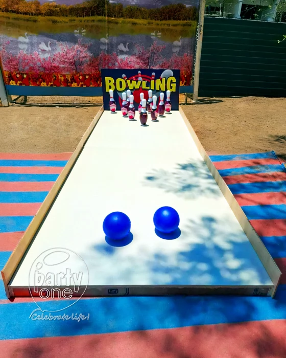 birthday Kids Mini Bowling Alley