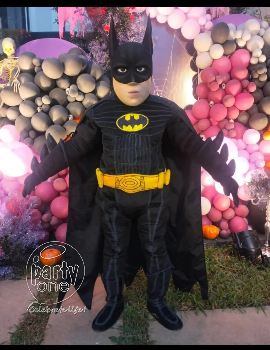birthday Batman Character Mascot