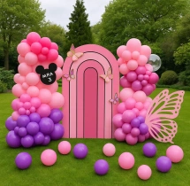 birthday Soft Colour Butterfly Theme Balloon Decoration