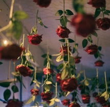 decorations Amour Nights Valentine Cafe Decoration